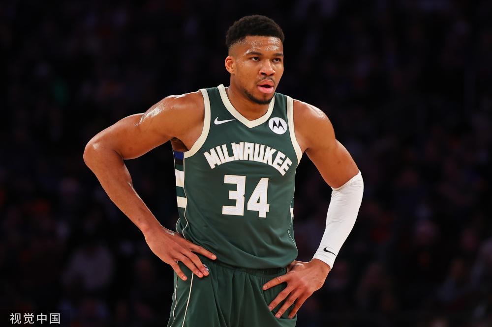 子蛙泳的领 子蛙泳的领